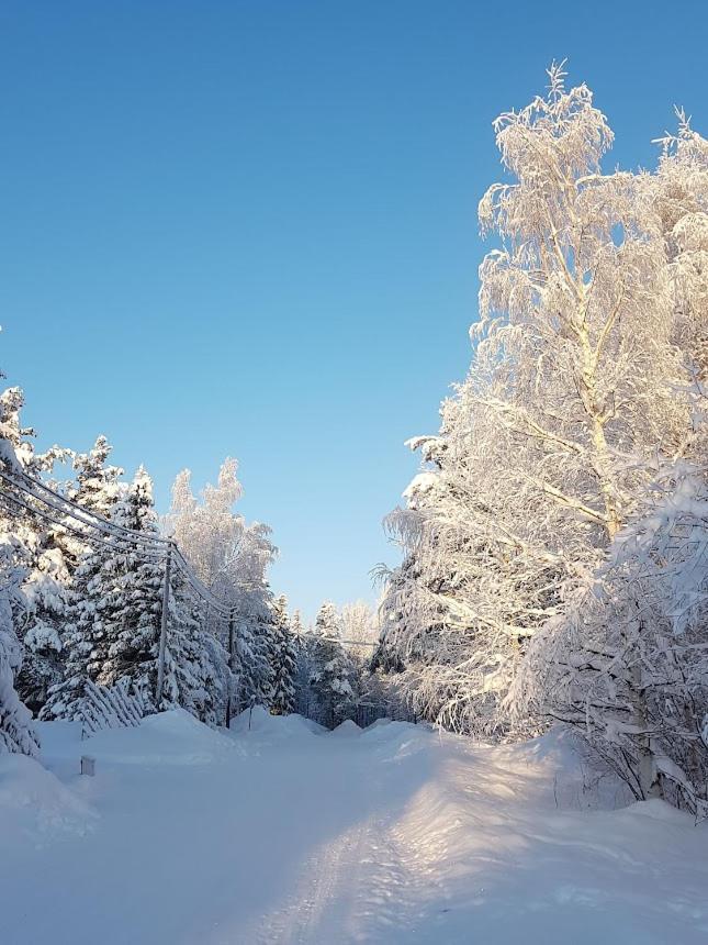 Arctic Luxury Home Rovaniemi Exterior foto